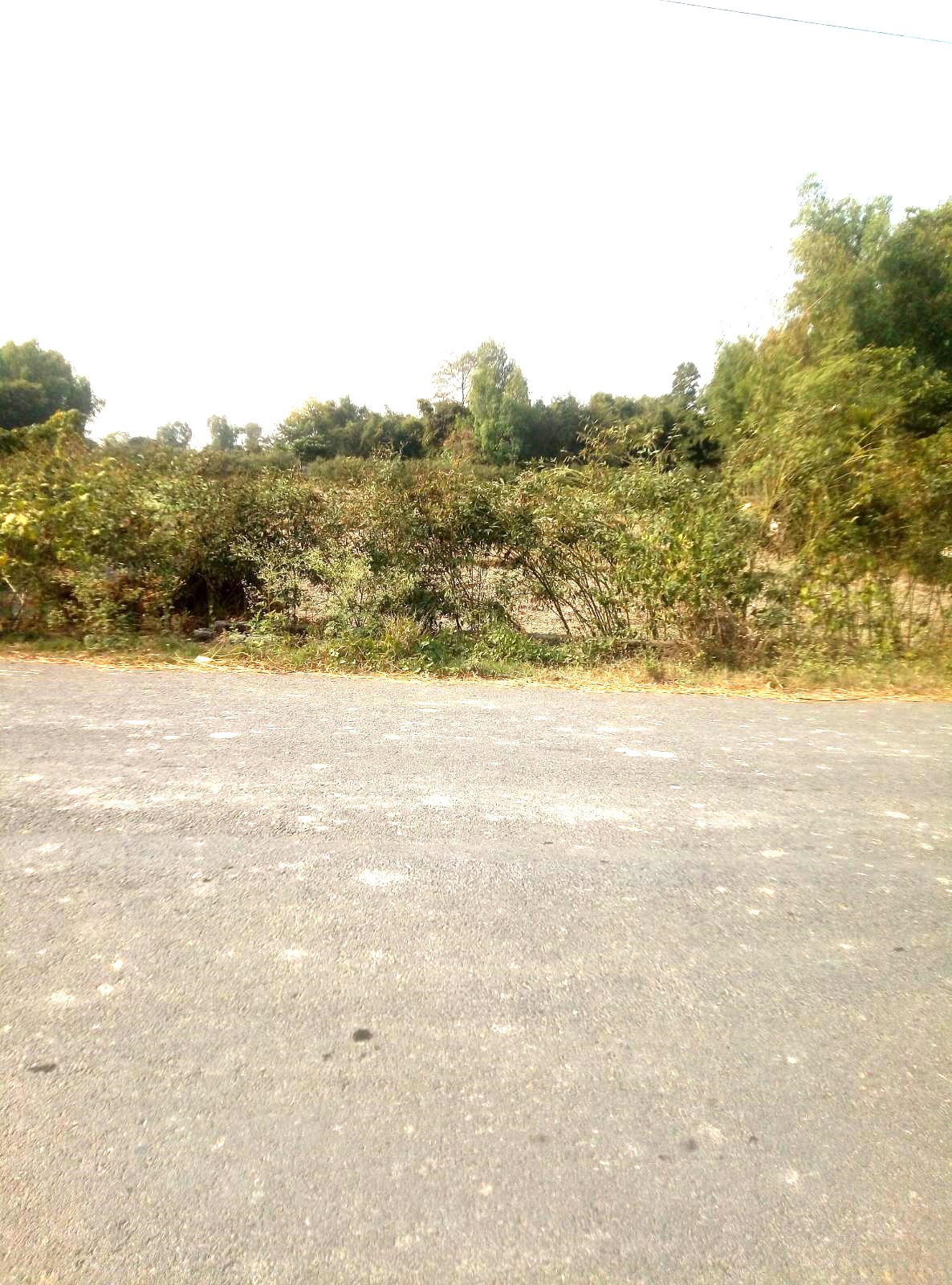 Picture of Inaruwa Municipality, Koshi